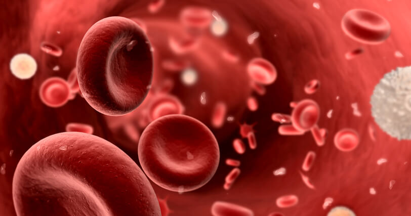 What Is Platelet Rich Plasma Therapy?