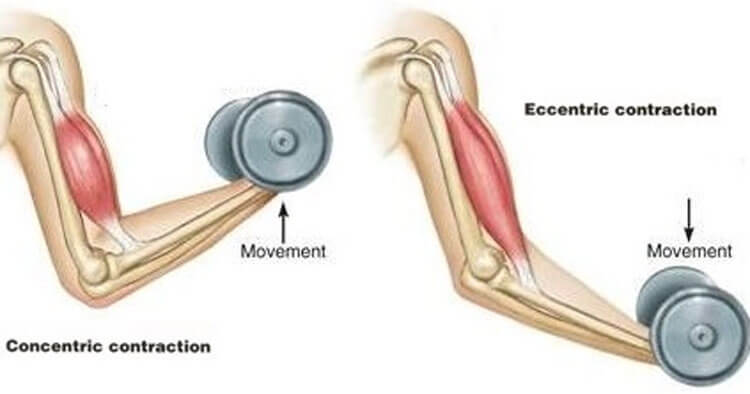 Management Of Biceps Tendon Pain At The Elbow