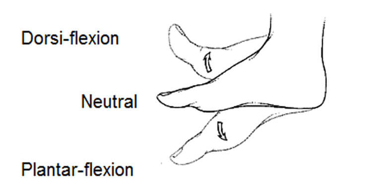 Referencing Movements Of The Foot And Hand
