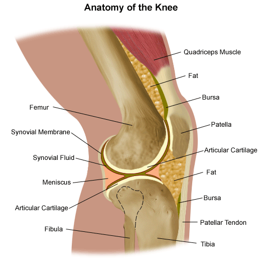 Knee Fat Pad Impingement - Symptoms, Causes and Treatment